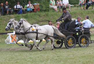 Der Schlussspurt: Georg Lemke, sieger des Glückshindernisfahrens, fährt Turnierleiter Eckard Käding im gestreckten Galopp vom Platz. Der Schlussspurt: Georg Lemke, sieger des Glückshindernisfahrens, fährt Turnierleiter Eckard Käding im gestreckten Galopp vom Platz.